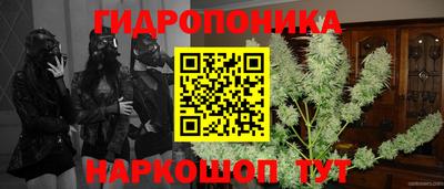 стаф Коммунар