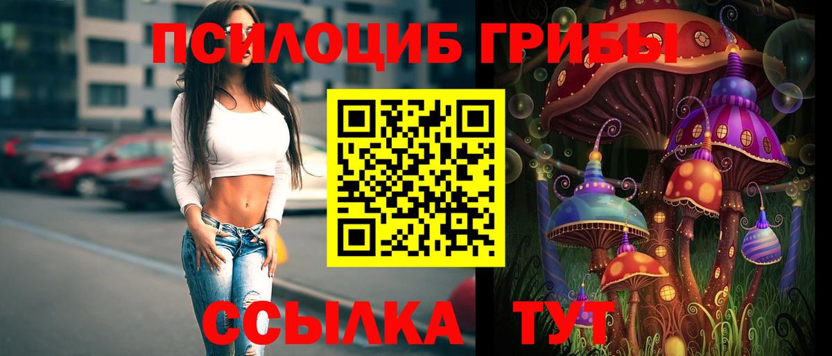 Галлюциногенные грибы мицелий Киреевск
