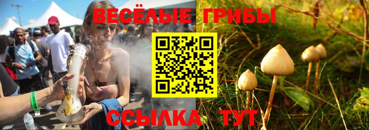 Галлюциногенные грибы мицелий  Вход с VPN  Киреевск 